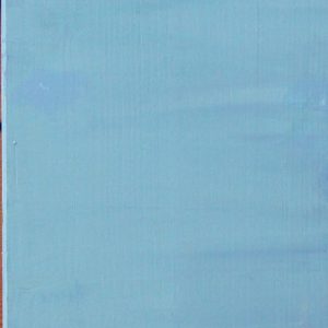 Esels Glück II, 2019 Acryl auf Holz, 20x120cm